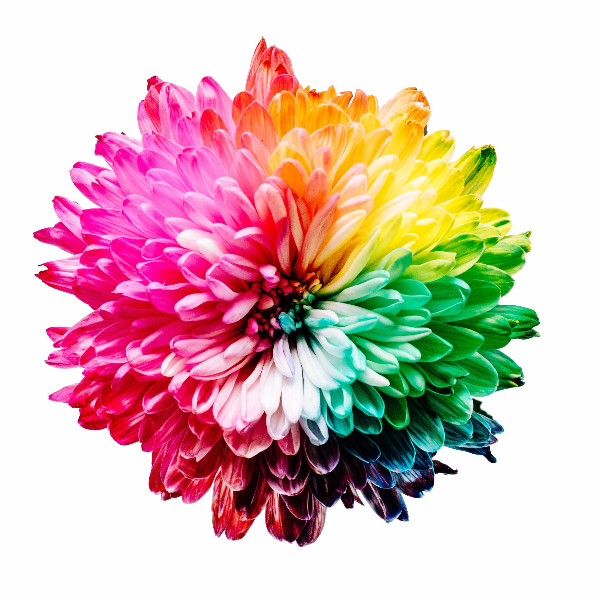 The Basics of Using Colors and Graphics to Create Warmth